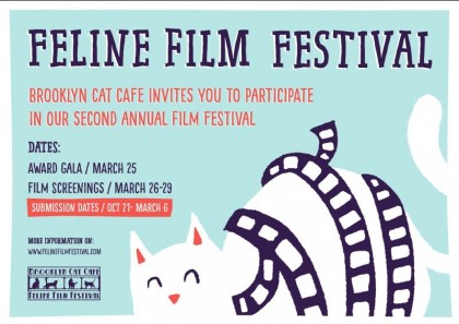 Feline Film Festival