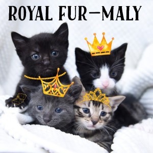 Royal Fur-maly