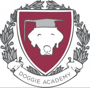 Doggie Academy