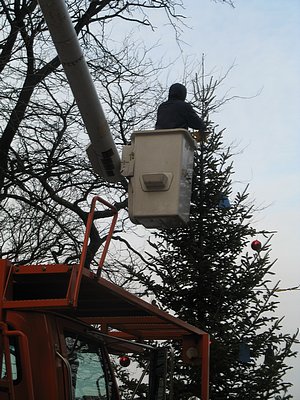 Removing decorations from tree at entrance to Promenade, January 13, 2009.